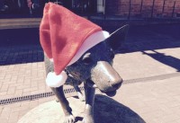 media release_christmas