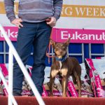 2023 WDA Sponsor Eukanuba (2)
